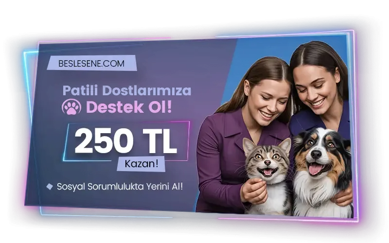 Beslesene.com 250 tl